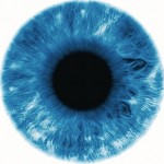 nhs evidence eye