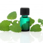 shutterstock_77618620 melissa aromatherapy lemon balm oil