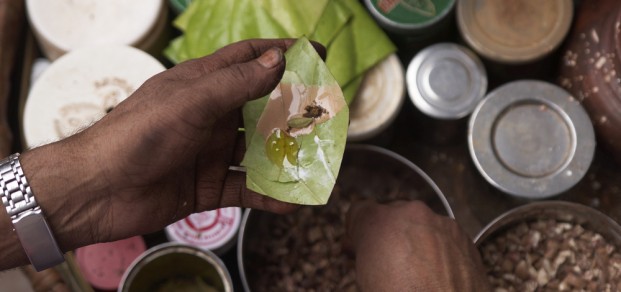 shutterstock_32414035 - Betel leaf