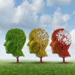 Three trees, shaped as heads, during different seasons