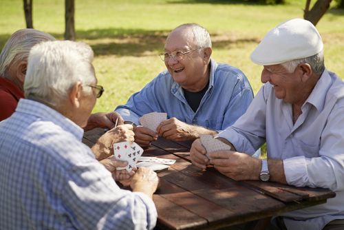 The researchers developed a conceptual model of the transition to retirement programme 