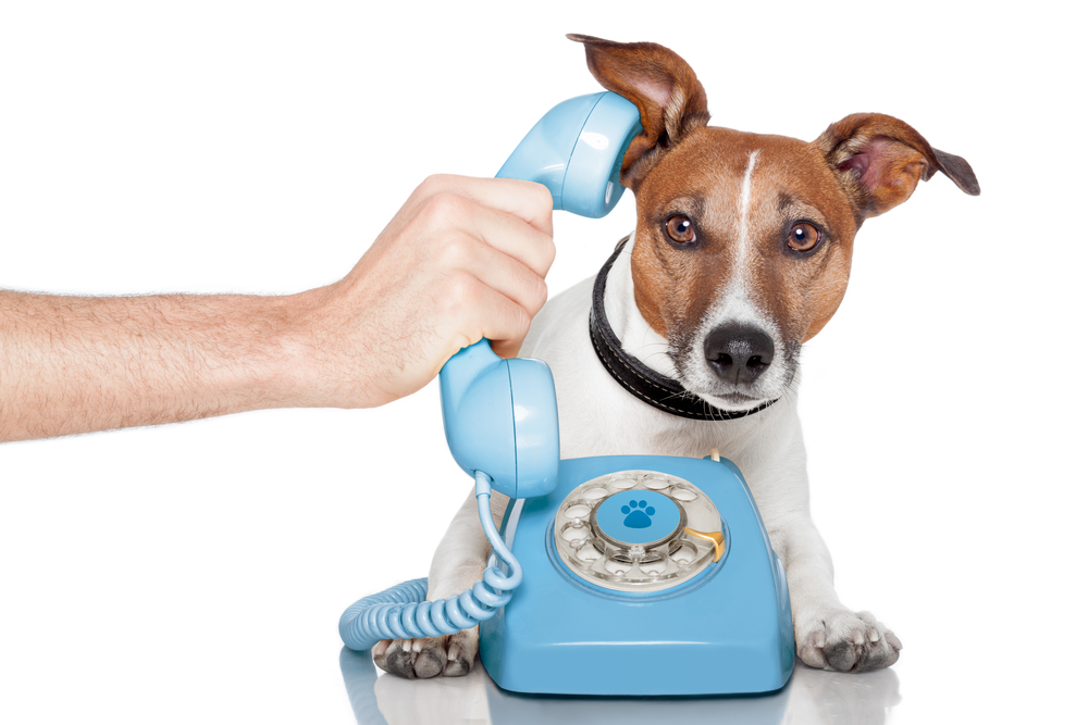 Telephone interviews may not be the best approach