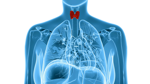 Respiratory infections were the most common cause of morbidity and rRespiratory problems the immediate cause of all eight deaths