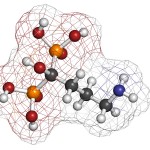 bisphosphonate