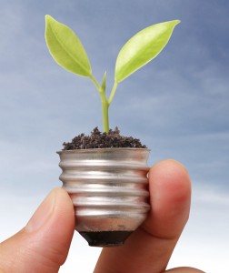 Base of a light bulb with a plant growing out of it