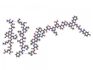 Opioid antagonist drugs like Naltrexone are thought to prevent the body’s response to endorphins