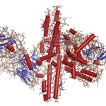 Botulinum toxin