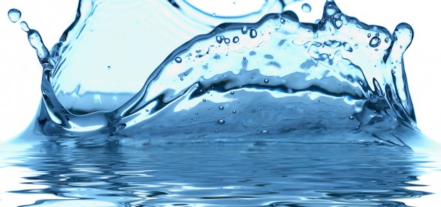 shutterstock_2529990