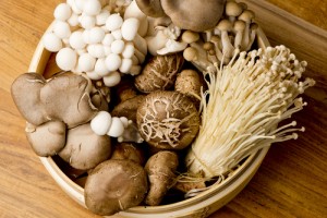 Evidence-based practice helps you know which type of mushroom to add to the cooking pot; or which social work intervention might work well with your client