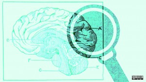 Could neuroimaging become part of the routine diagnostic process in the future?