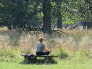 There's been an explosion of interest in mindfulness in recent years, both from the general public and researchers.