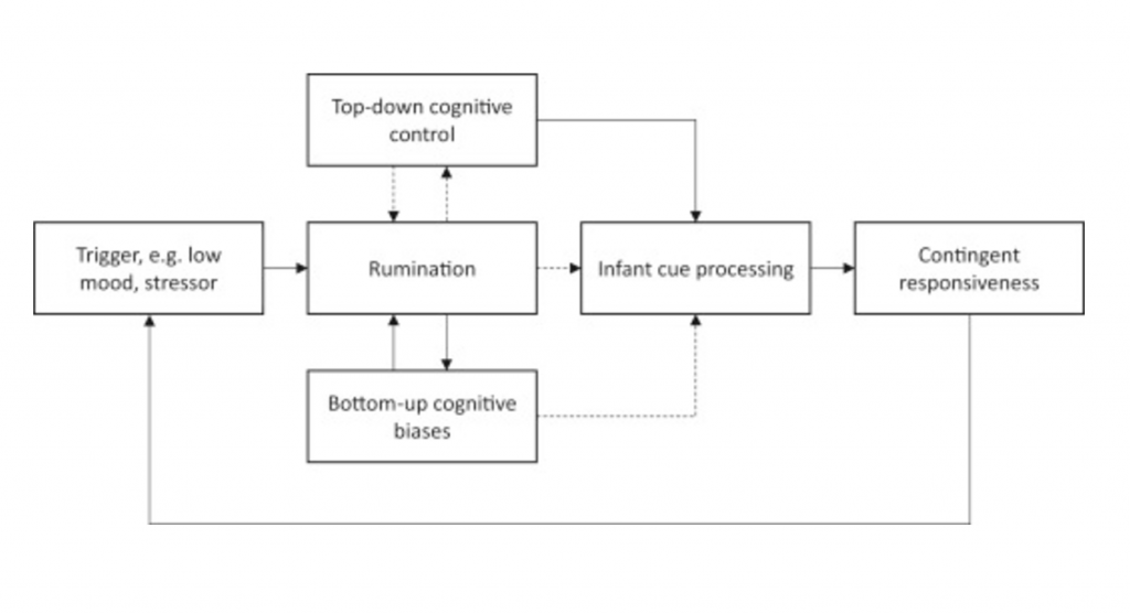 Information processing model of rumination and effects on parenting behaviour. Solid lines indicate positive links and dotted lines indicate negative/inhibitory links.