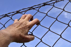 barbed-wire-1408454_640