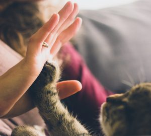 There's surprisingly little evidence of the role that pets play in the lives of people living with mental distress.