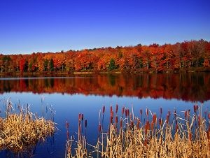 Lakeside autumn