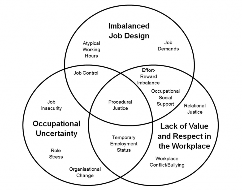 The unifying model of workplace risk factors.