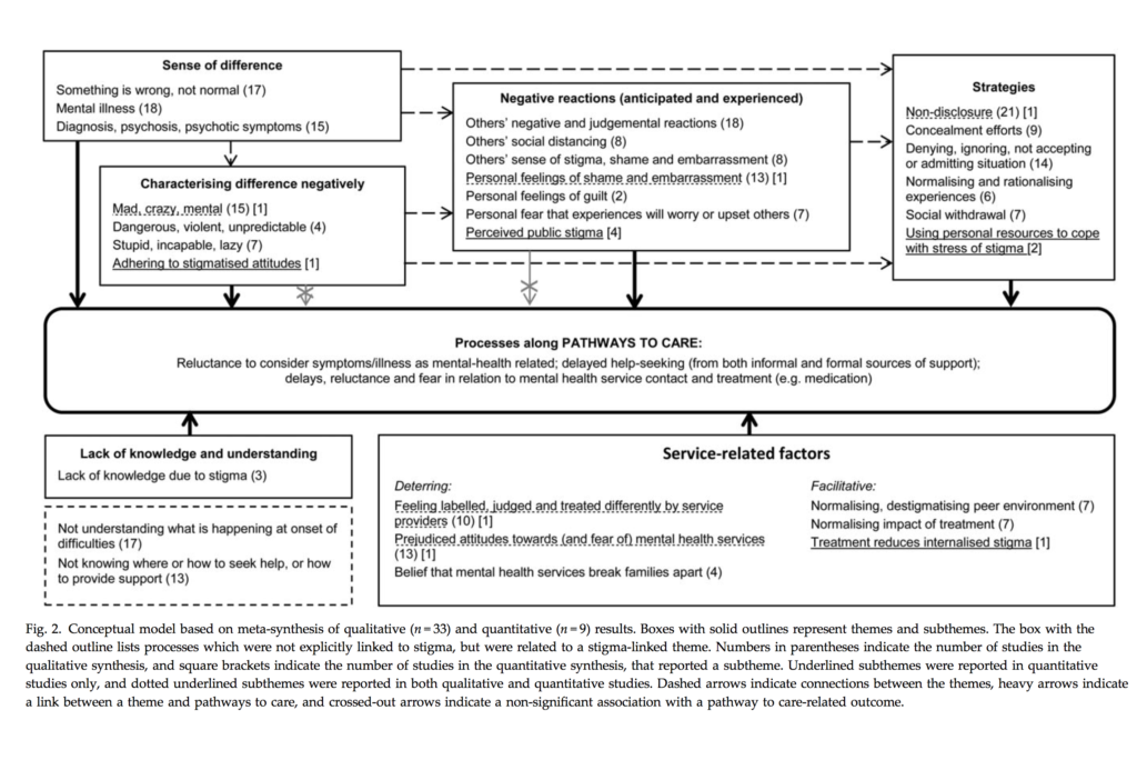 The review found that stigma-related processes can influence help-seeking and service contact among first-episode psychosis and at-risk groups. Click the above figure to view full size