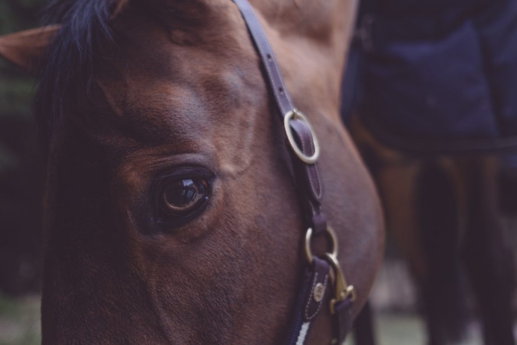 NIHR is investing significantly in virtual reality. Are they backing the right horse?