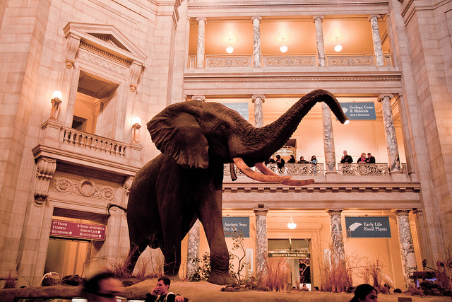 Adherence to antipsychotic medication is the elephant in the room.