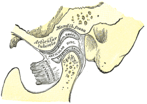 , https://commons.wikimedia.org/w/index.php?curid=85397