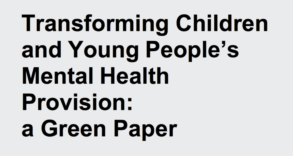 The new green paper recommends putting ‘a mental health lead in every school and college’. Is this a good idea?