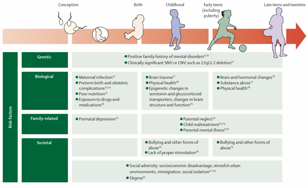 Risks factors for mental disorders. Taken from Arango et al (2018).