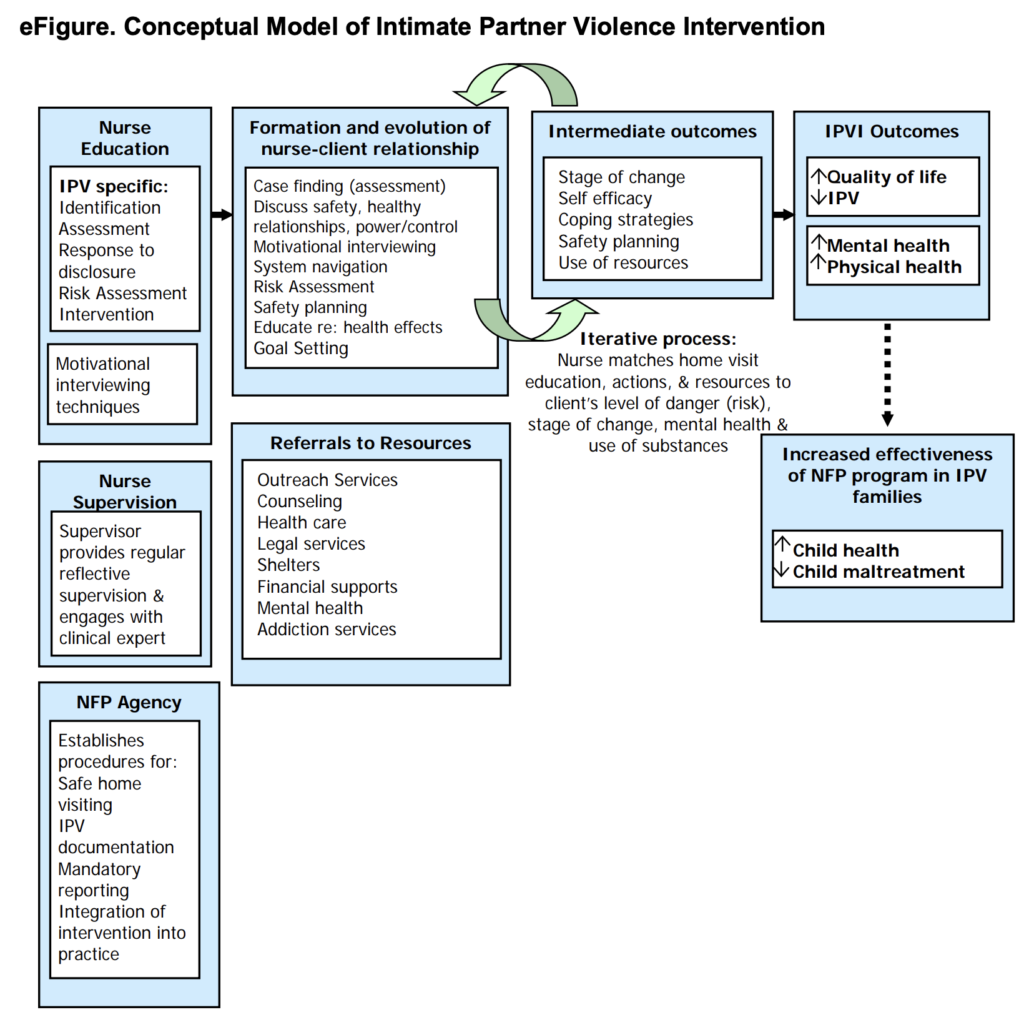 This paper evaluated an intervention of a nurse-delivered home visit programme incorporating specific intervention components for intimate partner violence (IPV), summarised in the above figure. NFP: Nurse-Family Partnership.