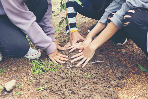 One of the main limitations of this study is the danger of selection bias: all participants were conservation volunteers and were more likely to be engaged in outdoor activities and experience benefits because of their engagement with nature.