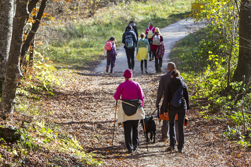 Although this study suggest that outdoor activities in green spaces might be beneficial to individuals, further (randomised) research is needed.