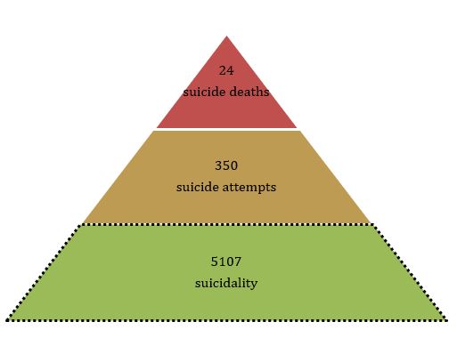 Overall, the rate ratio of suicide deaths to suicide attempts and suicidality was 1:15:212. The factors that affect and lead from suicidality to death by suicide are, however, not clear.