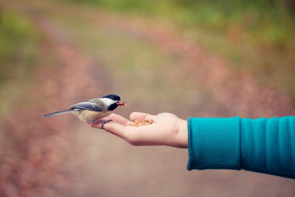 “It is a strange, sad irony that so often, in the territory of a disease that robs an individual of memory, caregivers are often the forgotten. Without them, those with Alzheimer’s could not get through the day, or die - as my husband did - with dignity, surrounded by love.” – Karen Wilder