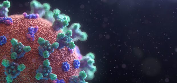 fusion-medical-animation-EAgGqOiDDMg-unsplash