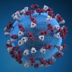 coronavirus 2 (SARS- CoV-2)