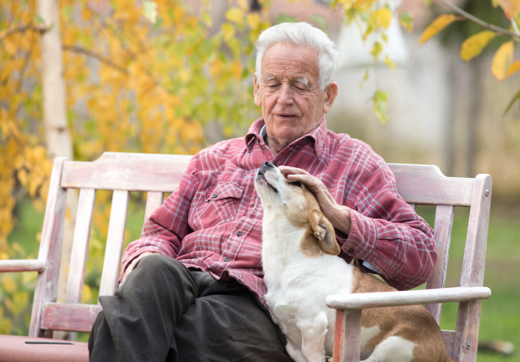 Dog therapy had a positive impact on mental and physical health in all 6 studies included, with limited evidence available for possible effects on cognition.