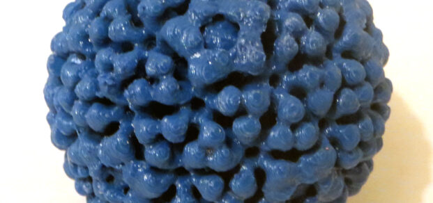 Human Papilloma Virus