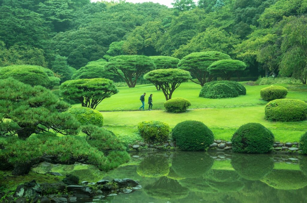 With more of us choosing to live in large, urban cities, the question of whether green spaces are important for public mental health becomes increasingly relevant.