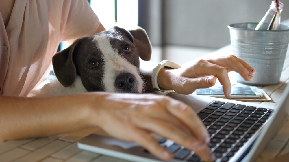 Walk and talk, re-structure your home working set up, and team up with friends: this could reduce sedentary behaviour during lockdown. It's worth a try!