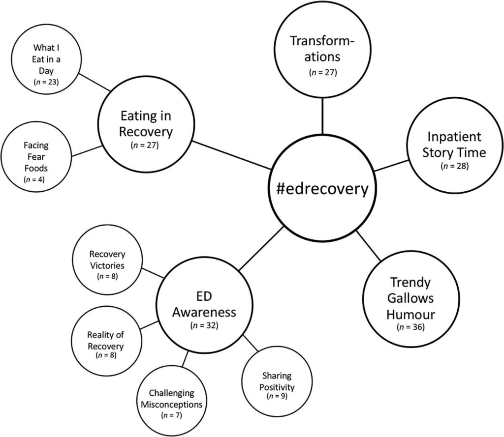 Figure 1. Themes identified across content posted under #EDrecovery on TikTok.