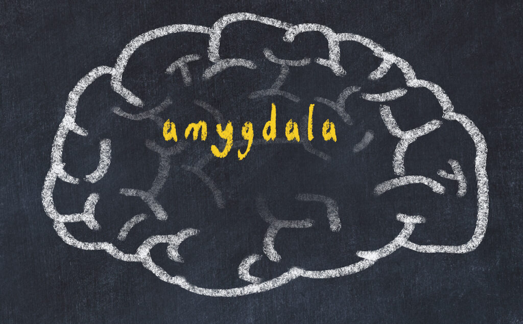 It has previously been demonstrated that people who self-harm have an over-active amygdala (emotional centre of the brain) and poor connectivity with between the amygdala and medial prefrontal cortex (responsible for higher order thinking).