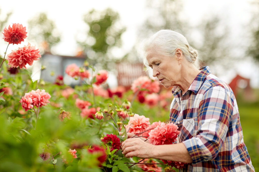 There is a lack of robust research into the effects of care farming in improving quality of life, depression and anxiety, therefore we can’t draw firm conclusions.