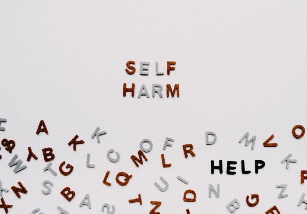 The findings suggested that the endorsement of different self-harm terms was similar across LMICs and HICs, with just a few exceptions.