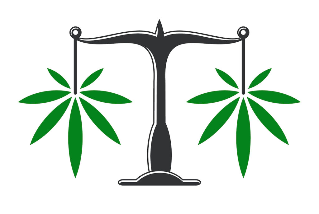 The authors suggest that cannabis use is measured with questions and assessment around frequency, dosage, period of substance use, potency, and chemical compounds.