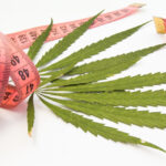 Marijuana,And,Weight,Loss.,Two,Green,Leaf,Of,Marijuana,,Hemp