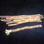 Miswak2