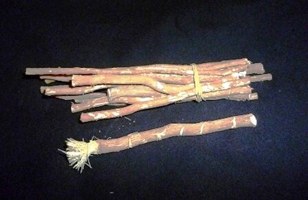 Miswak2