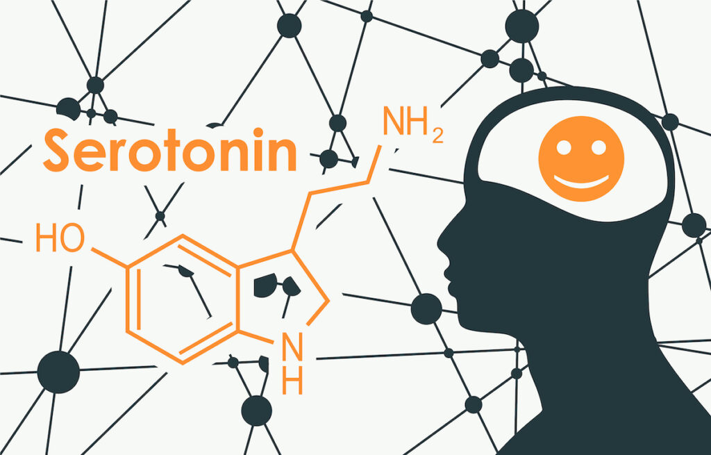 The serotonin hypothesis on depression was introduced decades ago, yet remains relevant in understanding the aetiology of depression.