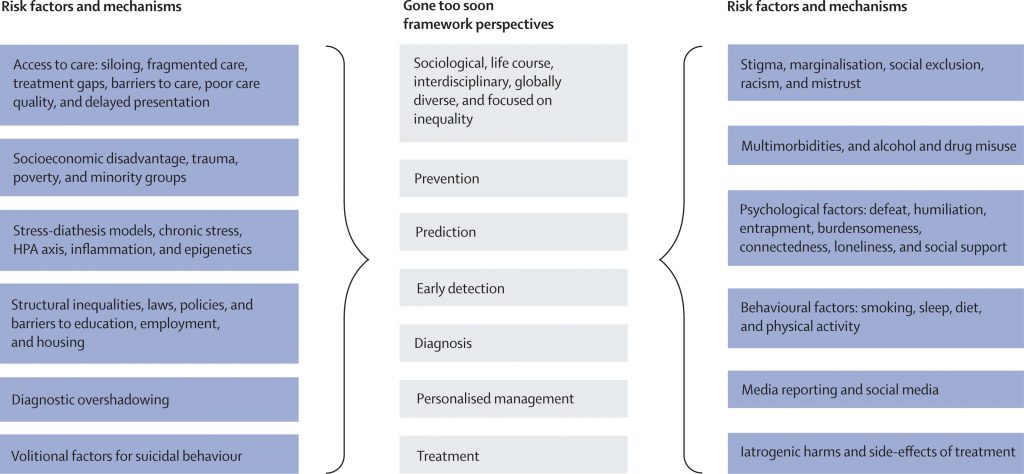 The Gone Too Soon framework and the shared social-ecological risk factors and mechanisms to tackle inequality