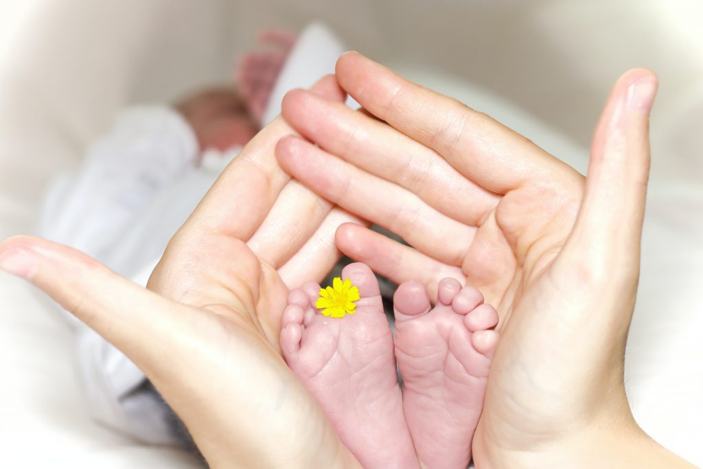 An adult holds two newborn baby feet in their hands, and there is a small yellow flower poking out inbetween the baby's toes