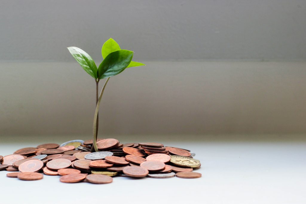 a small seedling with green leaves grows out of a pile of coins 