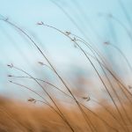 aaron-burden-tQF8FCNYNrk-unsplash